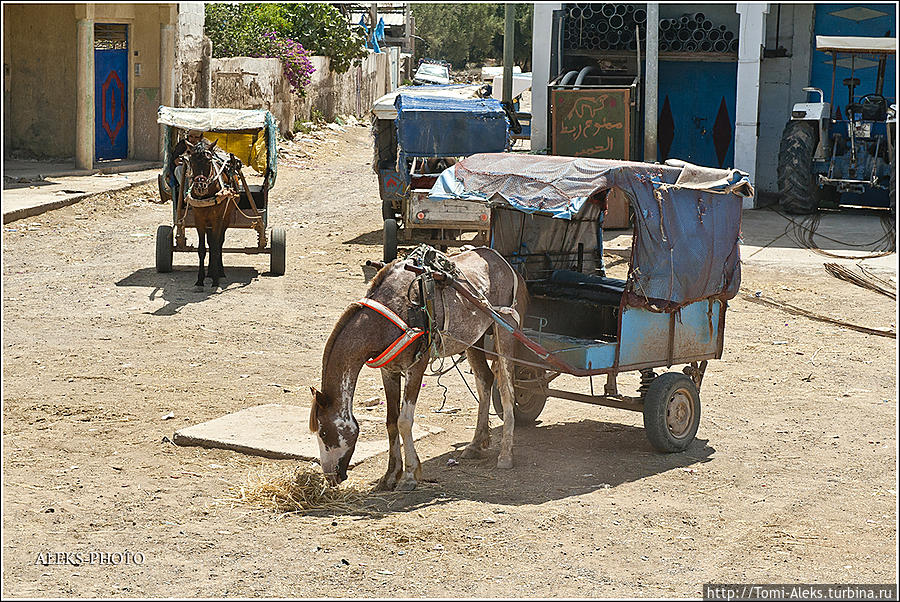 Брички, повозки, дилижансы, — суть не меняется — бензина не требуют, лишь — сена для дозаправки...
* Сафи, Марокко