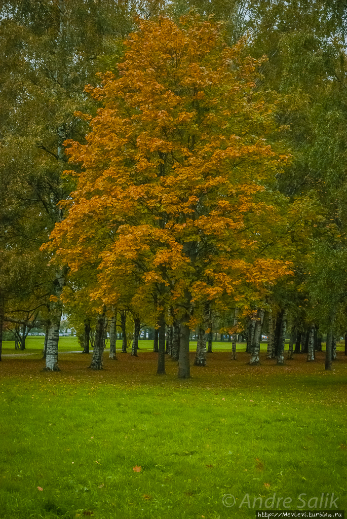 Осень в парках Агенскалнса Рига, Латвия