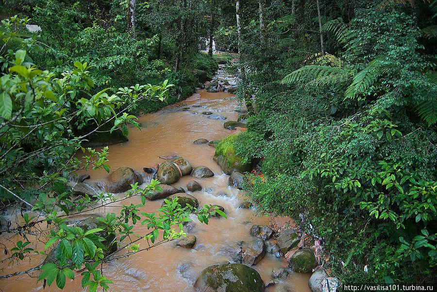 Танах-Рата: город, водопад и дождевой лес Танах-Рата, Малайзия