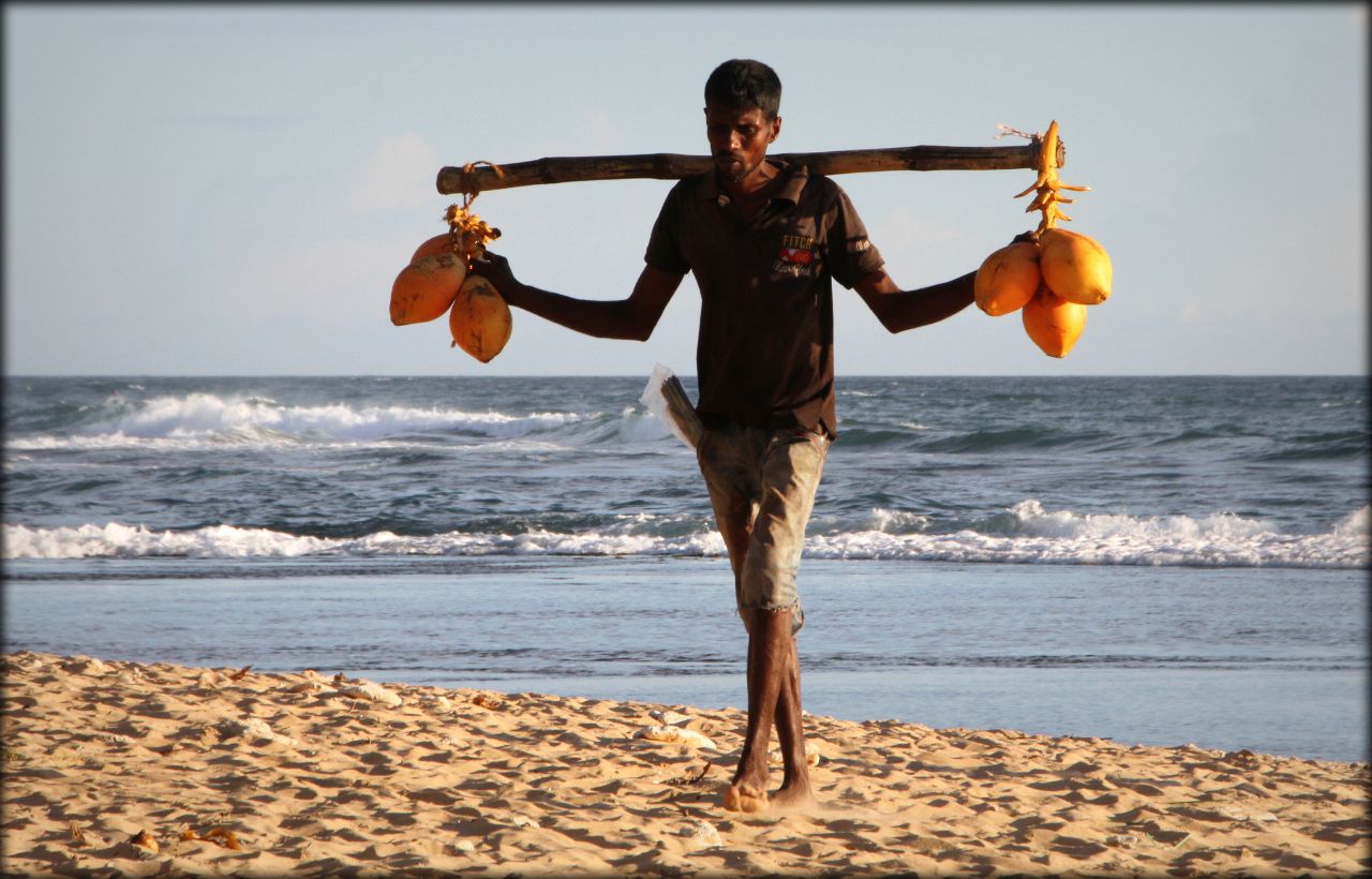 Пляжные зарисовки — Шри-Ланка