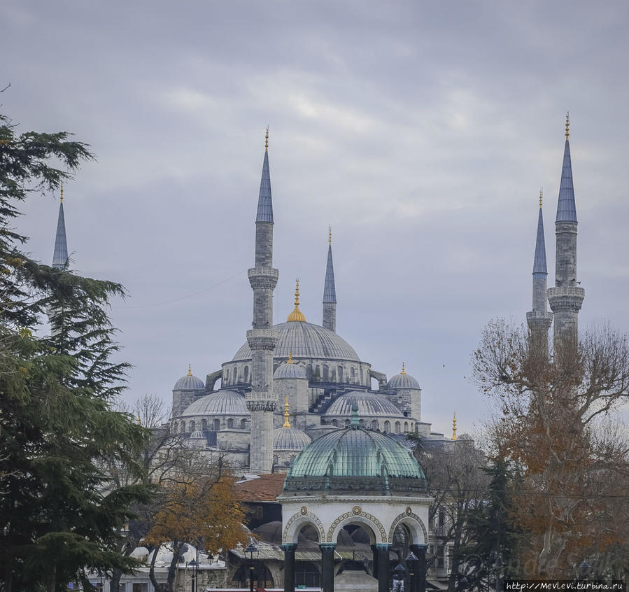 Дневные улицы Стамбула Стамбул, Турция