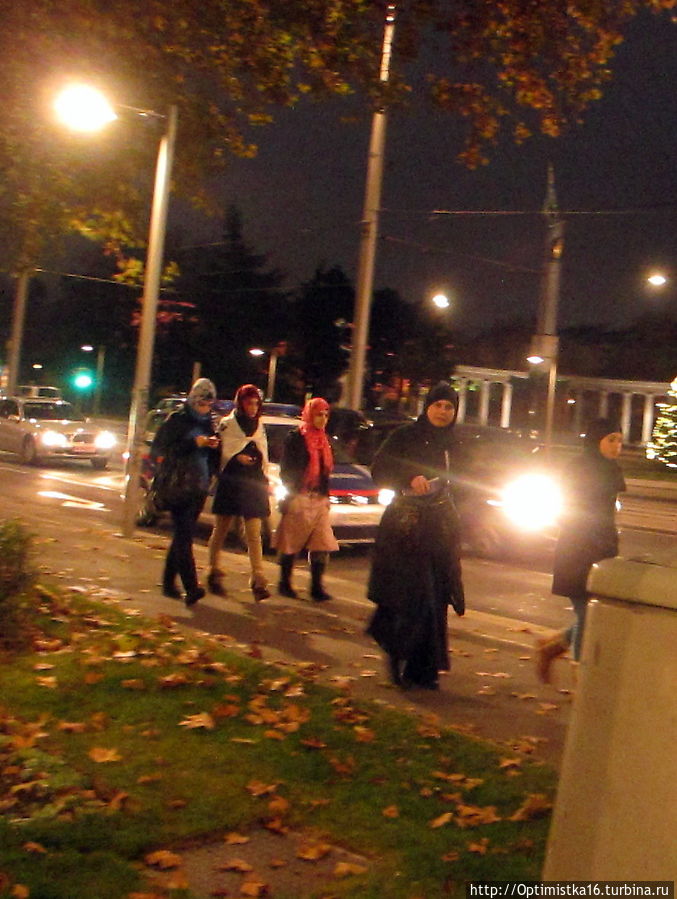 Исламский митинг на площади Шварценбергплатц Вена, Австрия