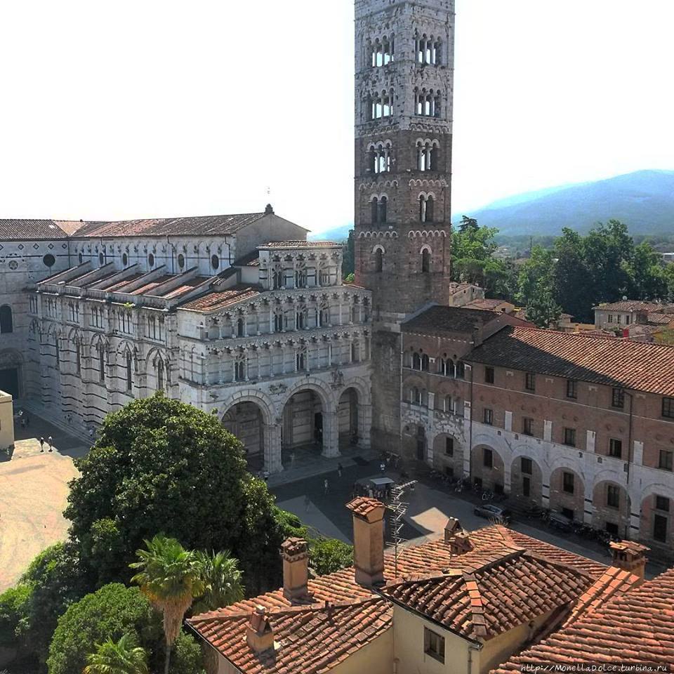 Базилика Cattedrale di San Martino (Duomo di Lucca)