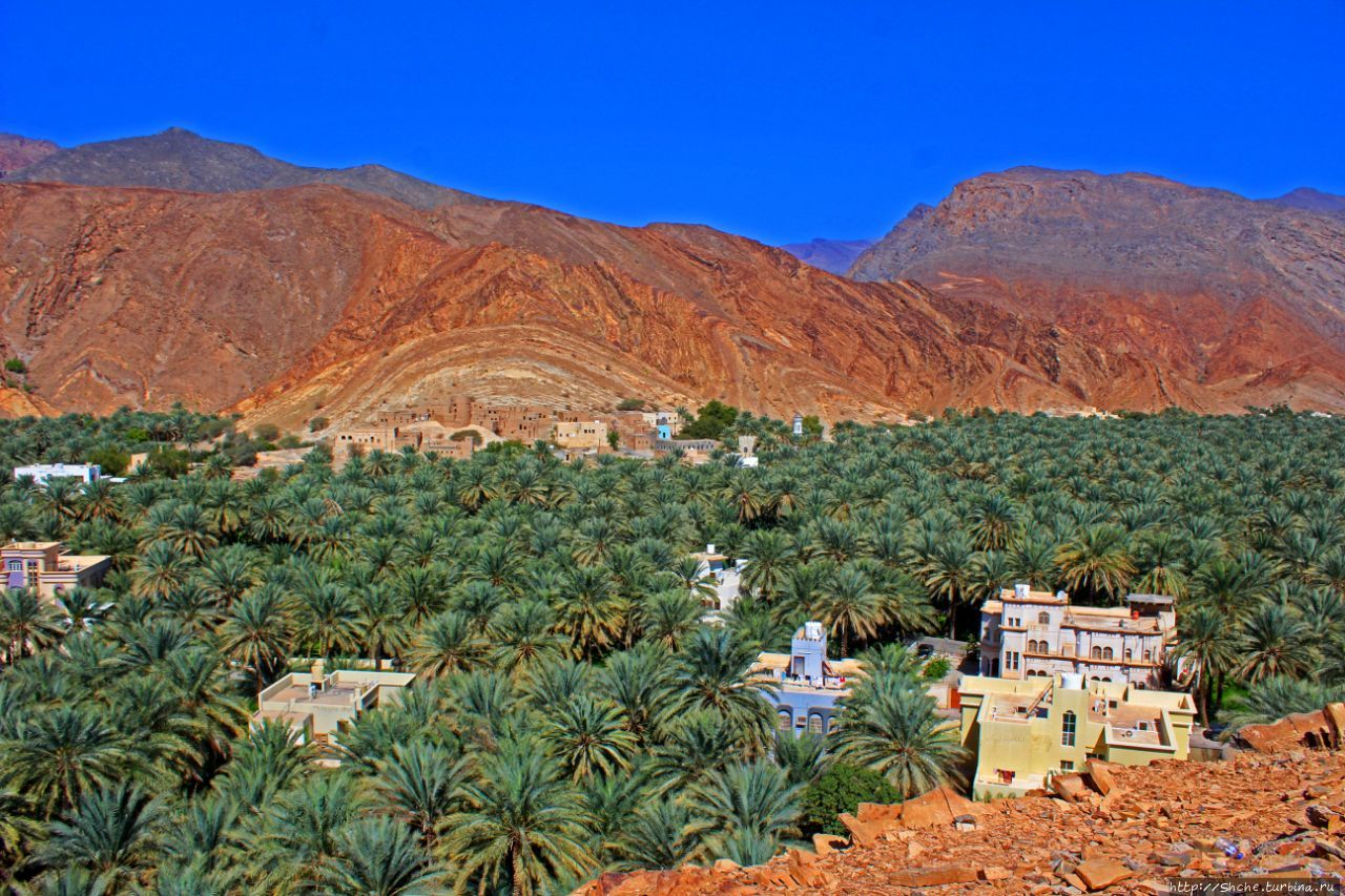 Фаладж-аль-Катмиин Биркат-аль-Муз, Оман