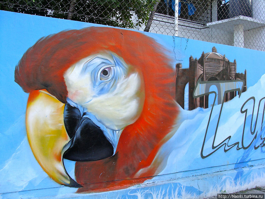 Художественное граффити Чьяпаса
