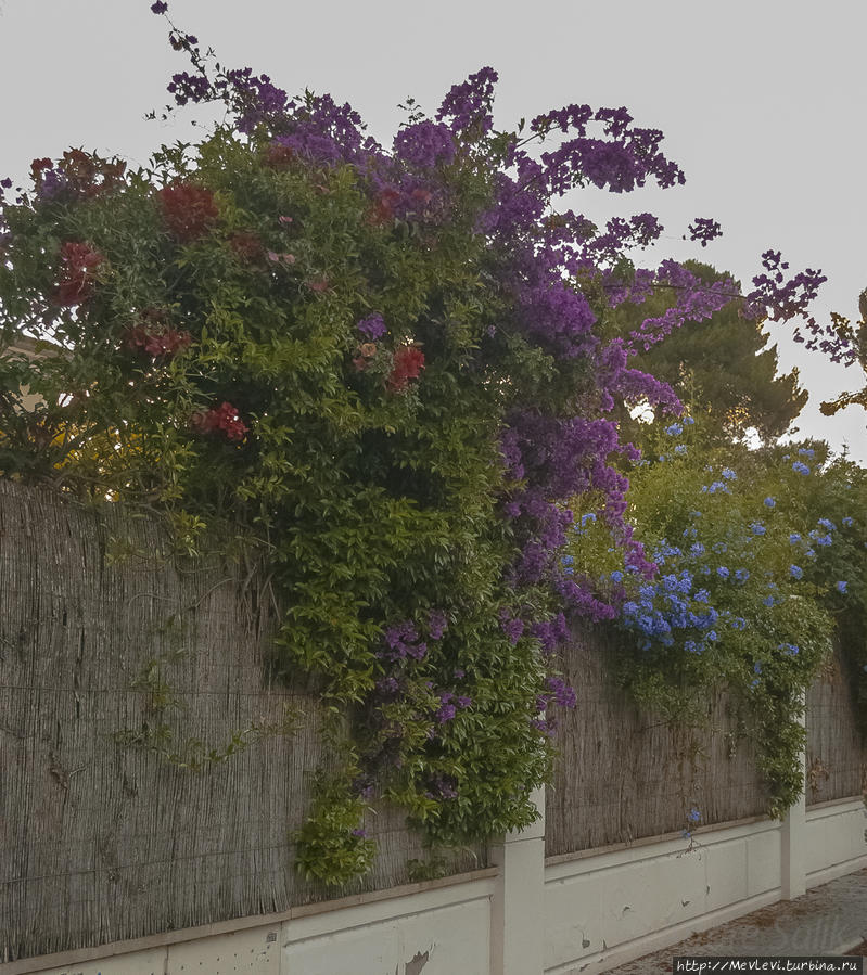 Cумерки Сиджес Ситжес, Испания