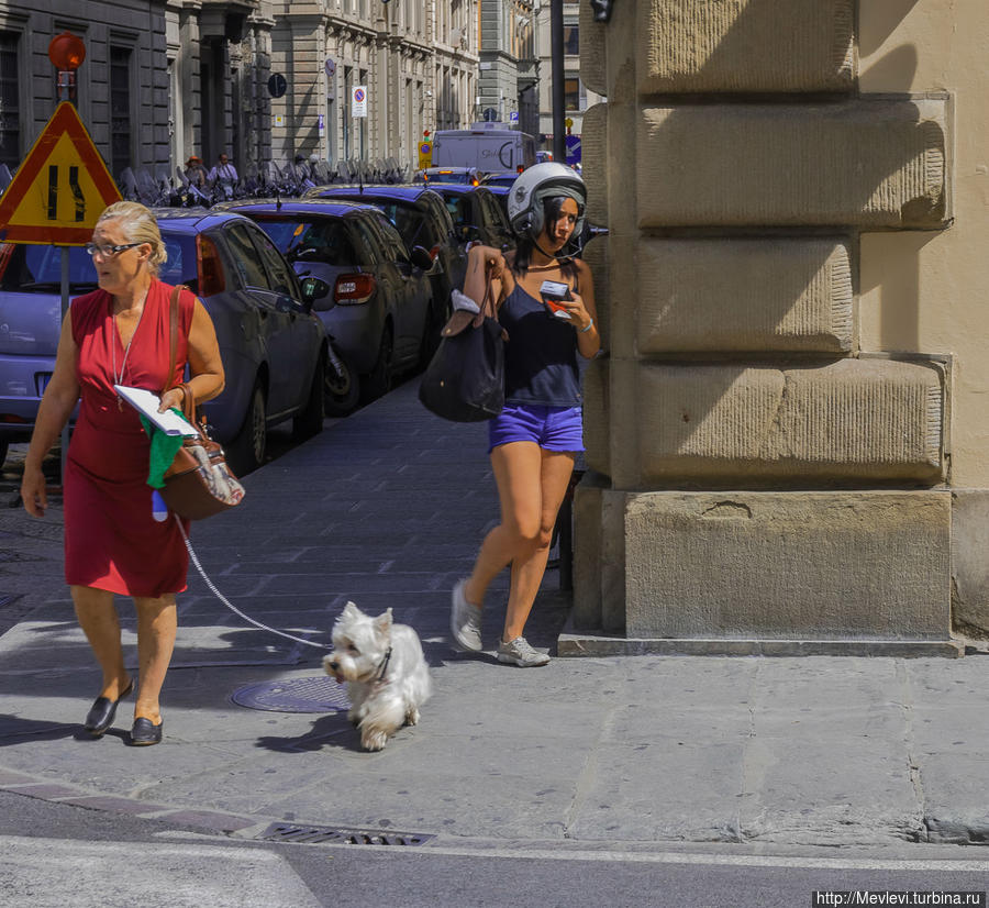 Утро Флоренции Флоренция, Италия