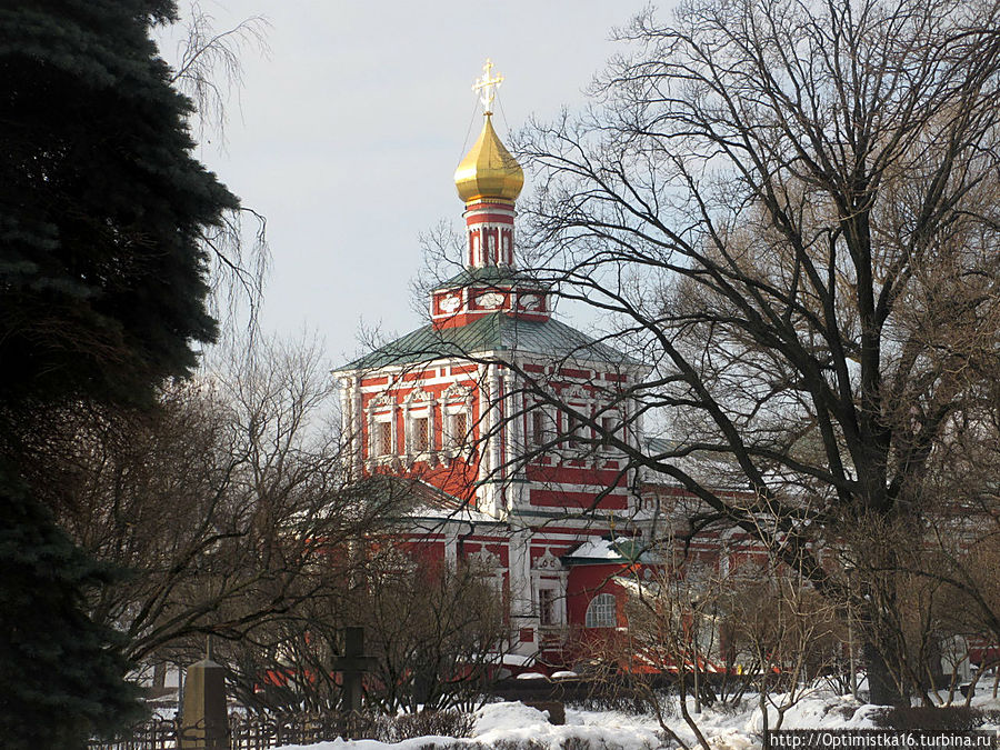 Случайная прогулка по Новодевичьему монастырю Москва, Россия