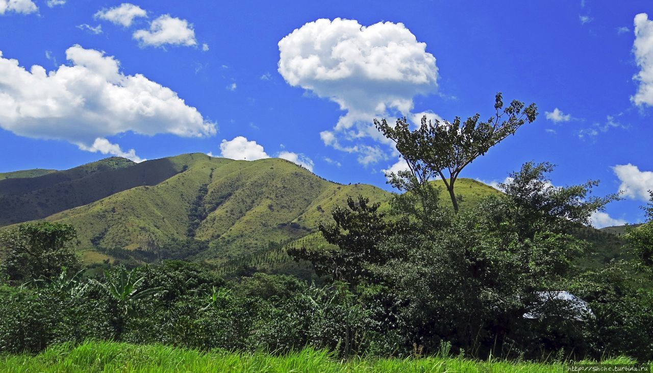Горы Рувензори — практически не был, но побывал Рвензори Маунтинс Национальный Парк, Уганда