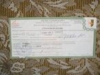 Страховой сертификат,выдаваемый при пересечении границы Абхазии в 2011 году