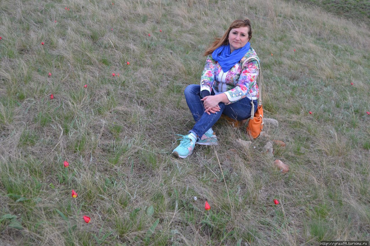 В поисках аленького, а заодно и желтенького цветочков Приютное, Россия