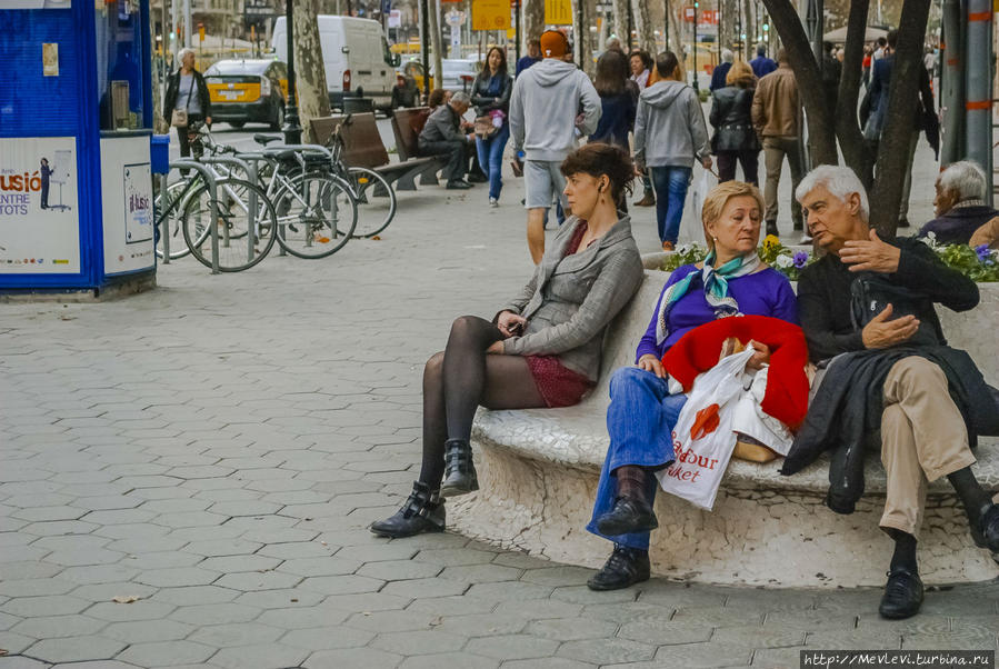 Там, где мандарины растут Барселона, Испания