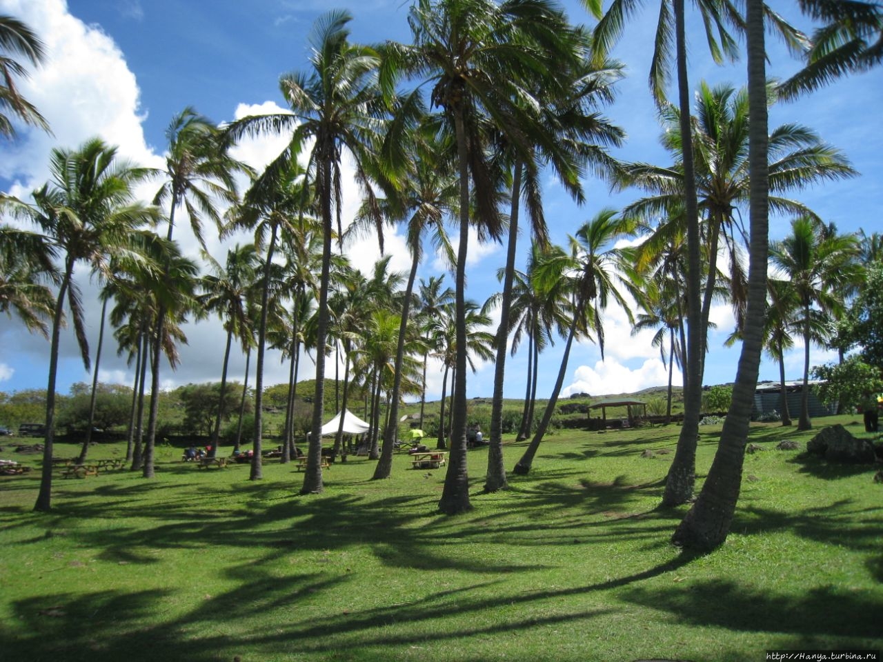 Playa Anakena & Ahu Nau Nau Остров Пасхи, Чили