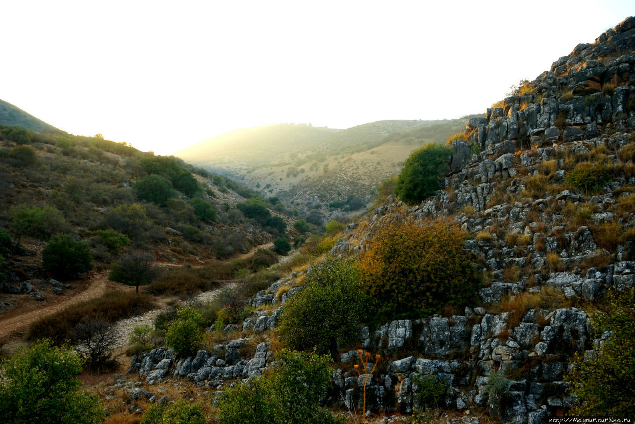 Вторая  половина  долины  Дишон. Мерон (город и гора 1208м), Израиль