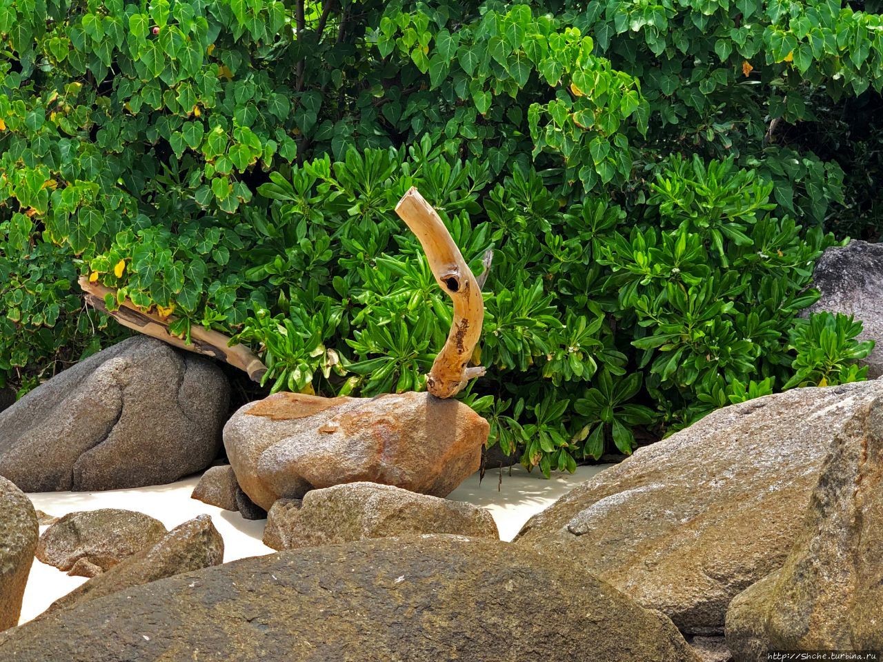 Залив Бо Валлон Бo-Валлон, Сейшельские острова