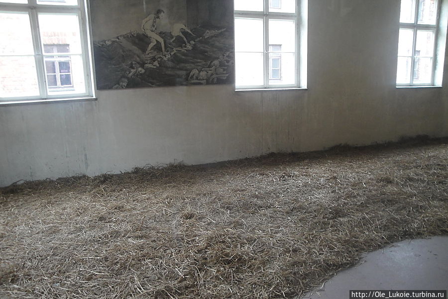 Внутри бывшего барака — матрасов и кроватей не было, заключенные спали на полу, на соломе. В Аушвиц-Биркенау на нарах не было даже соломы. Освенцим, Польша