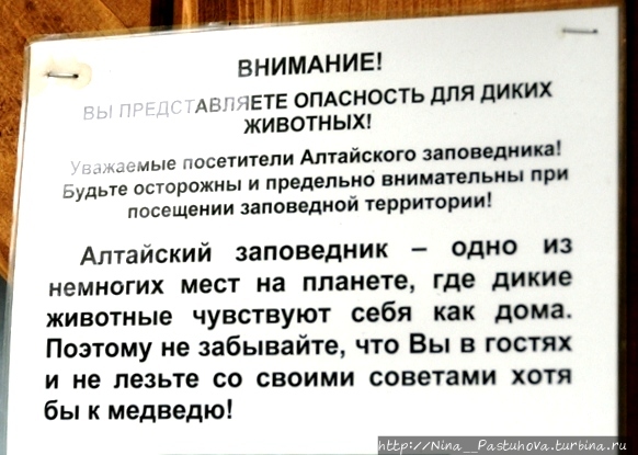 И это всё о нём — горы, реки, водопады. Телецкое озеро Телецкое озеро, Россия