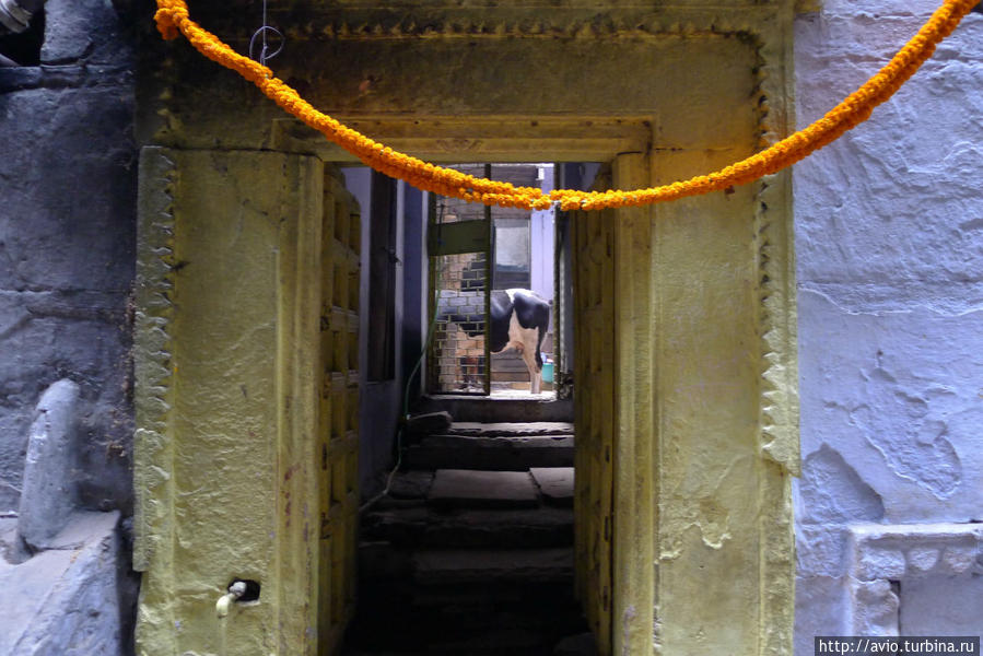 Dharma Bum или путем Будды. Прогулка в вечности по Варанаси* Варанаси, Индия