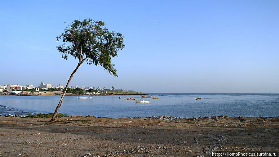 На Зеленом мысу, в самой западной Африке Дакар, Сенегал
