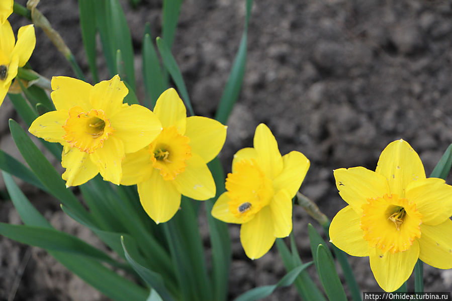 Хроники весны, день двадцатый Харьковская область, Украина