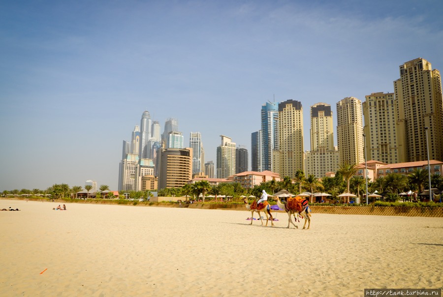По пляжу, чтобы отдыхающие не забывали, что они все еще в арабской стране, курсирует караван. Дубай, ОАЭ