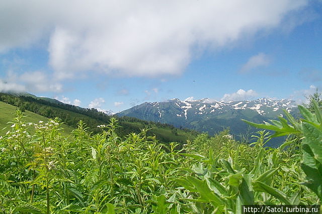 Альпийские луга Архыз, Россия