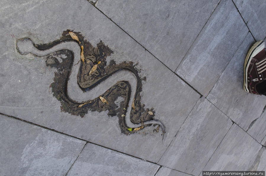 Хорошая примета — найти каменную змейку на площади у Галатской башни. Стамбул, Турция