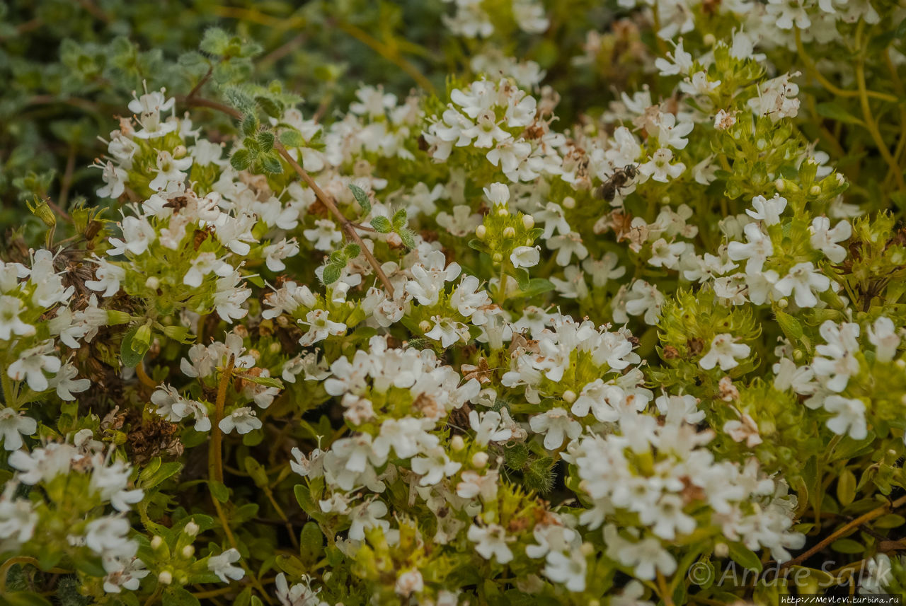 Пасмурное лондонское утро Лондон, Великобритания