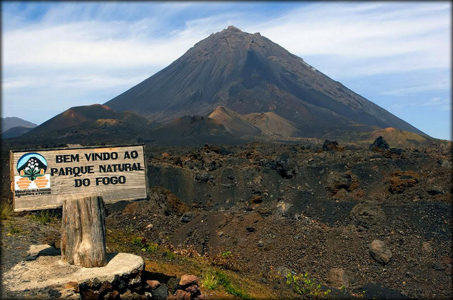 Что? Где? Когда? Природа