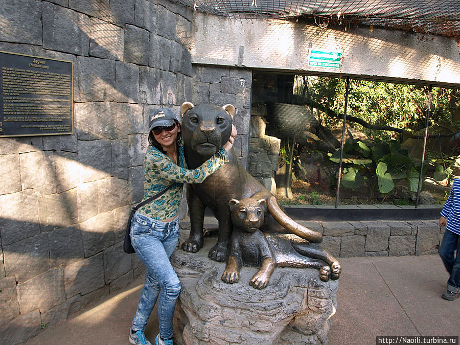 Чапультепекский зоопарк Мехико, Мексика