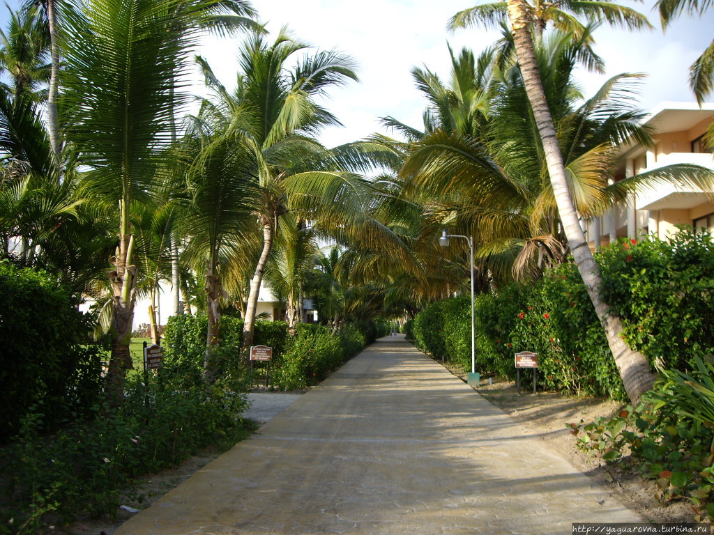 Catalonia Bavaro Пунта-Кана, Доминиканская Республика