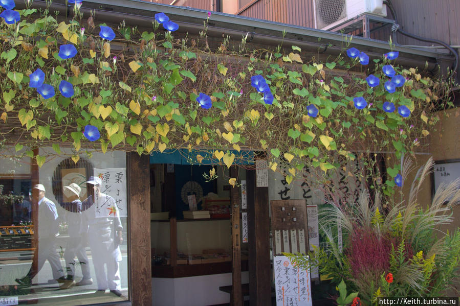 Магазин сладостей Такаяма, Япония