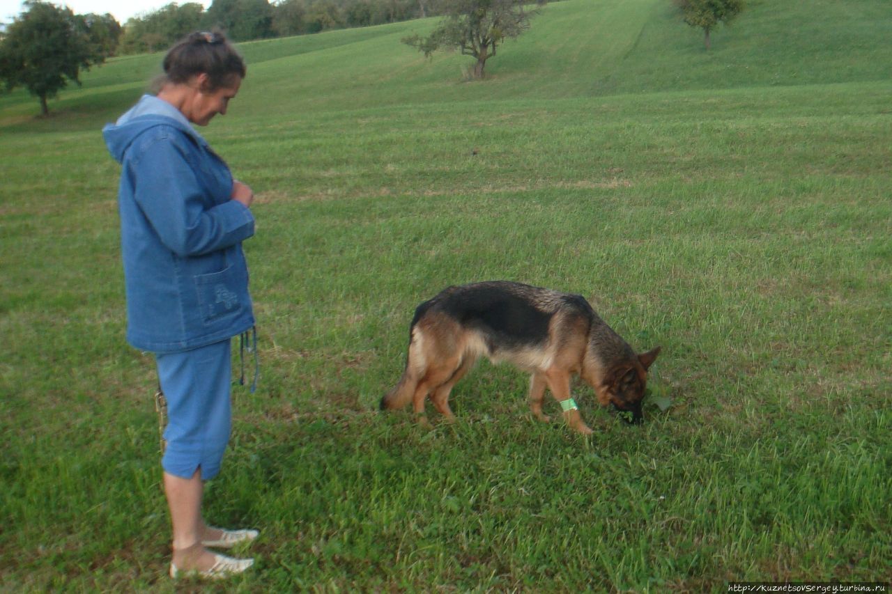 Зигер в Ульме Ульм, Германия