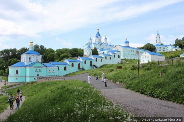 Два дня среди акаций Курская область, Россия