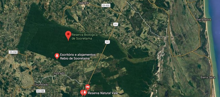 Участок шоссе BR-101 в восточном секторе Сооретама биосферный лесной резерват, Бразилия