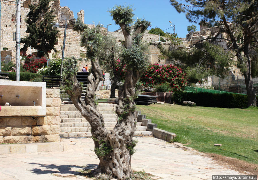 Снаружи — сад памяти 7-й ступени Хеврон, Палестина