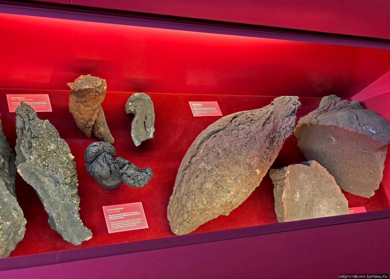 Карьер окаменелостей Мессель (музей) Мессель, Германия