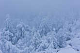 Вид с горы. В ясную погоду отсюда открывается захватывающая панорама Северного Урала : )