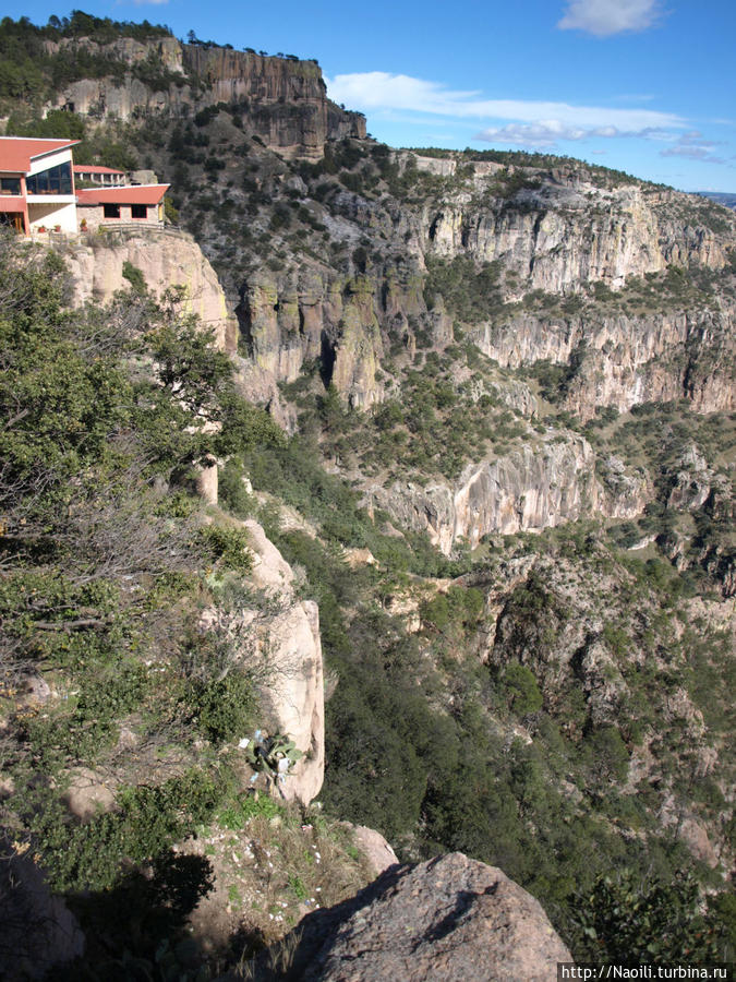Каньон назвали Баранкас де Кобре в честь обрывистых скал (Баранкас) которые приобретают цвет меди (Кобре) в лучах заходящего солнца, а также медных шахт, расположенных поблизости. Барранкас-дель-Кобре, Мексика
