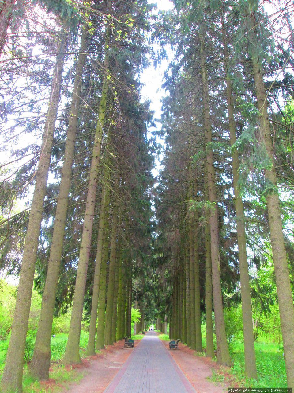 Прогулка по Ботаническому саду — от входа до озера Минск, Беларусь