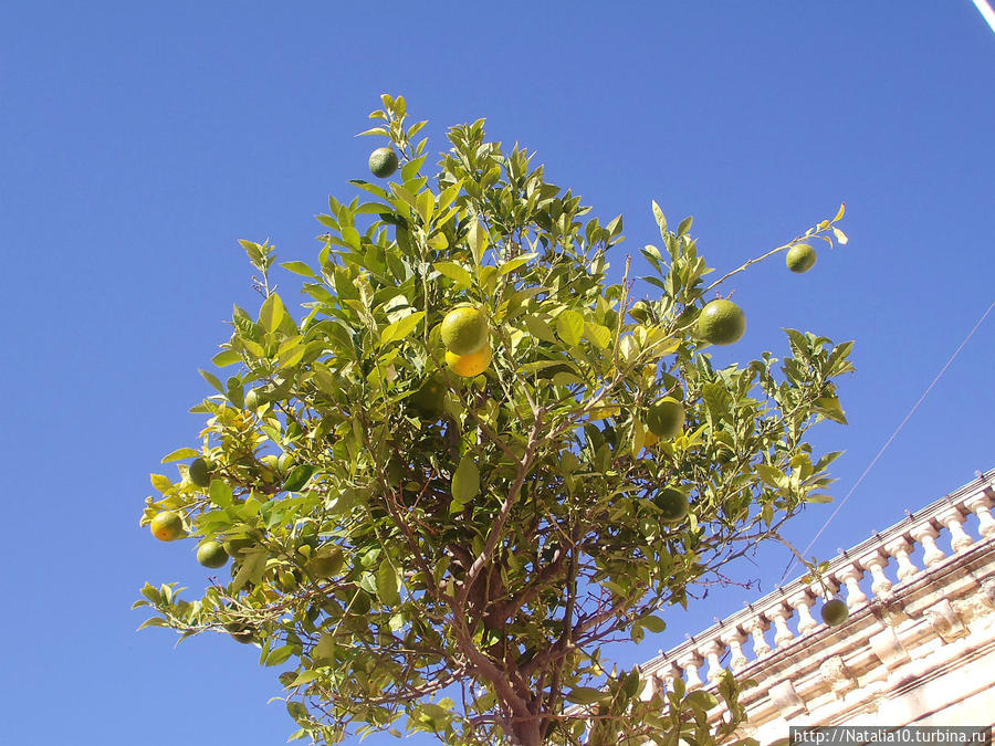 Две недели на Мальте Сент-Джулианс, Мальта