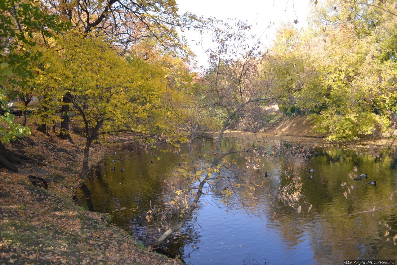 Городской парк культуры и отдыха 