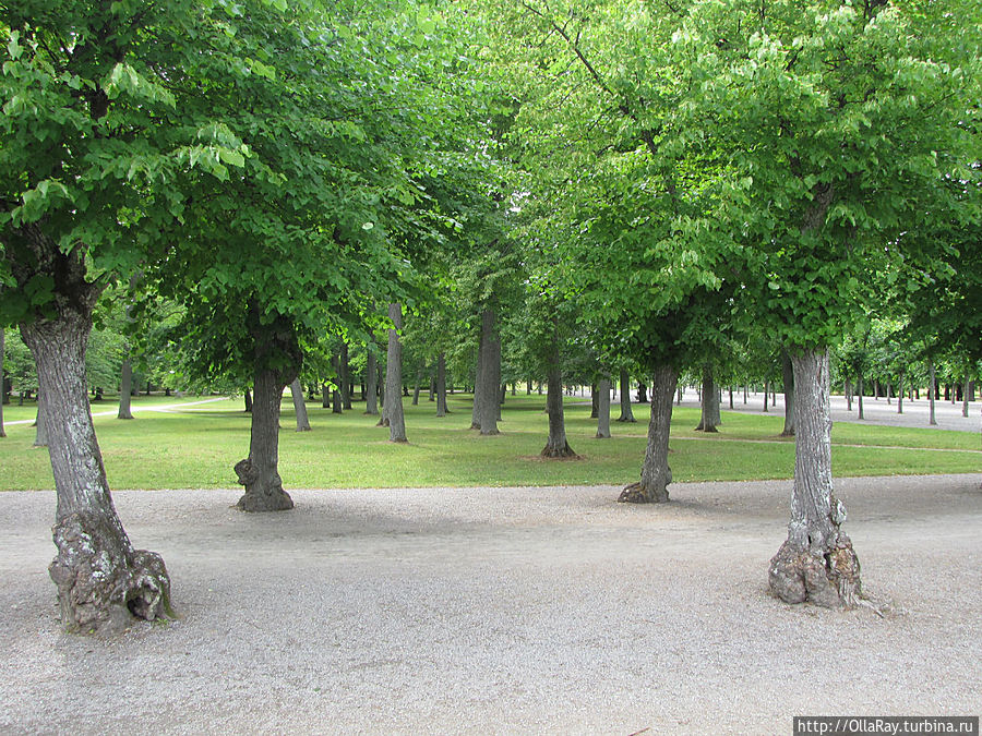 Есть в Дротнингхольме и английский парк. Дротнингхольм, Швеция