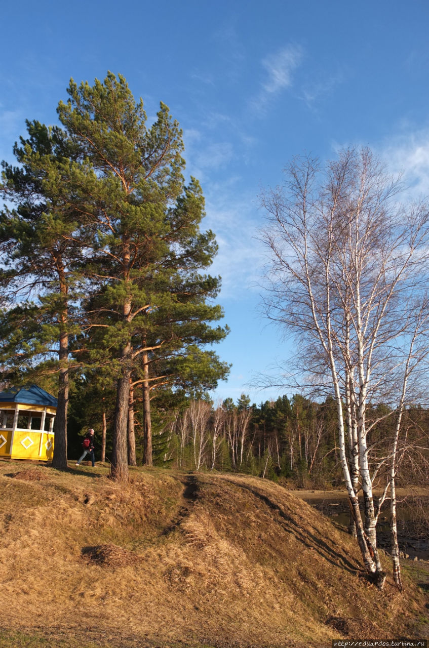 Солнышко лучистое скачет по полям))) Красноярск, Россия