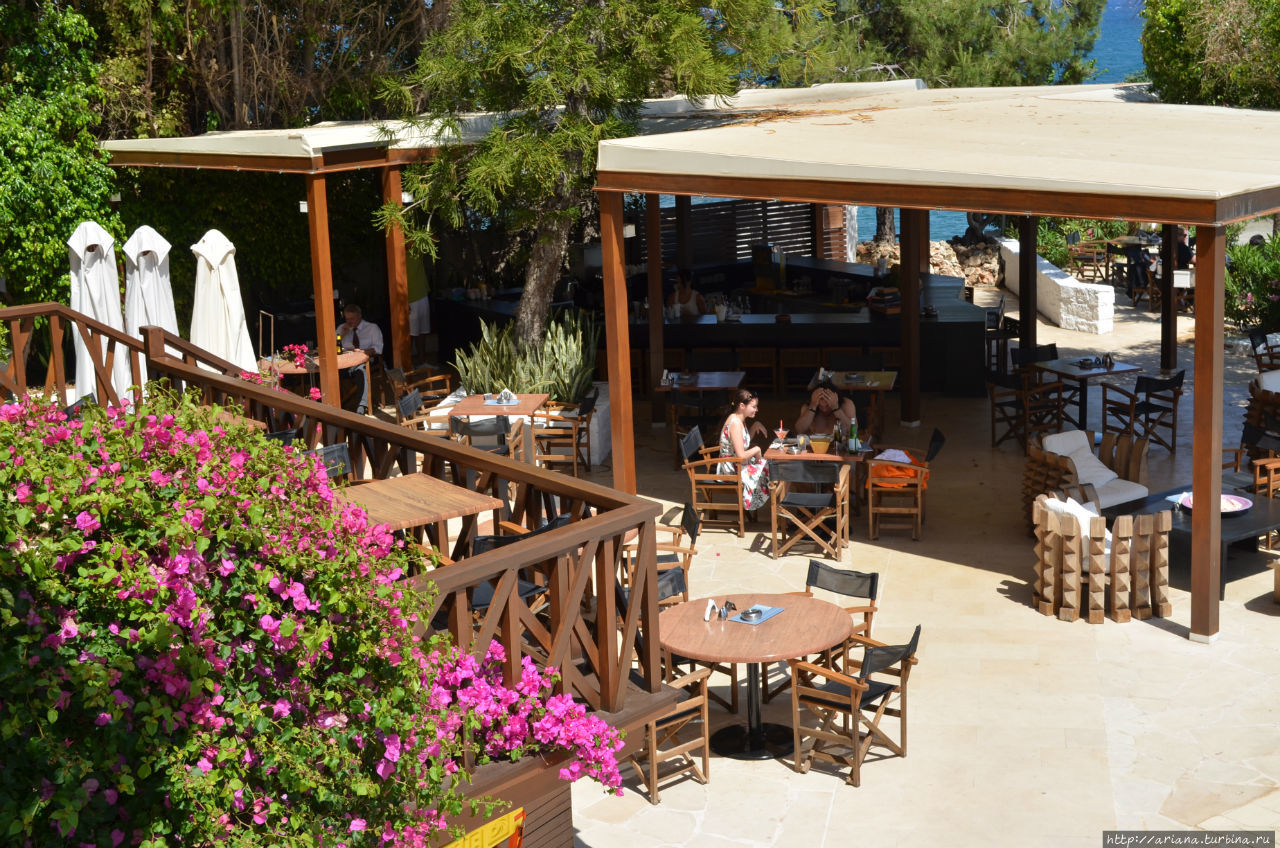 Пляжное кафе Лимассол, Кипр