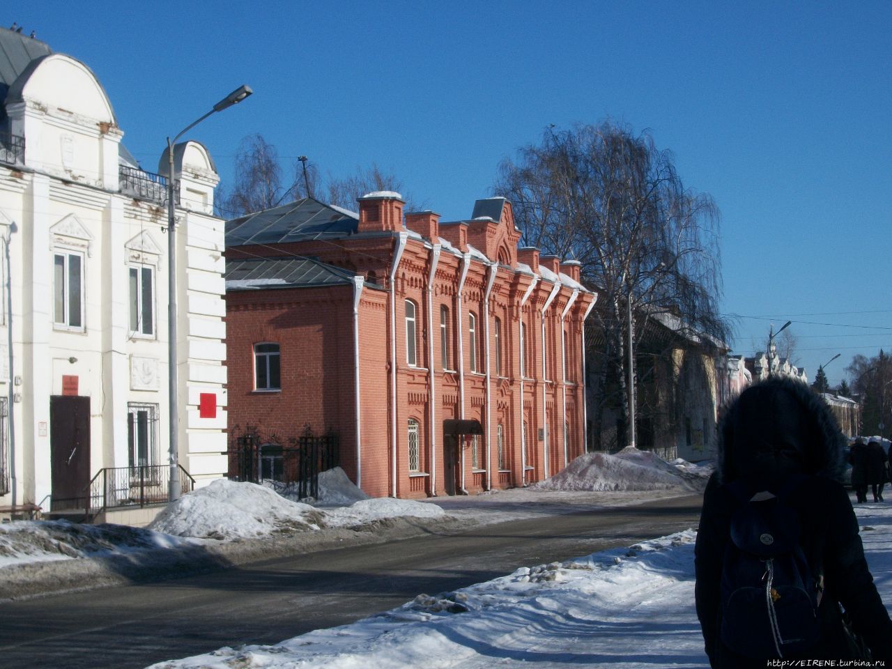 Лебединая песня из Алтайской зимовки Бийск, Россия