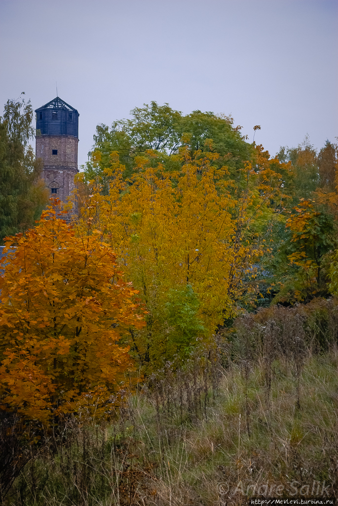 Красивая осень!!! Рига, Латвия