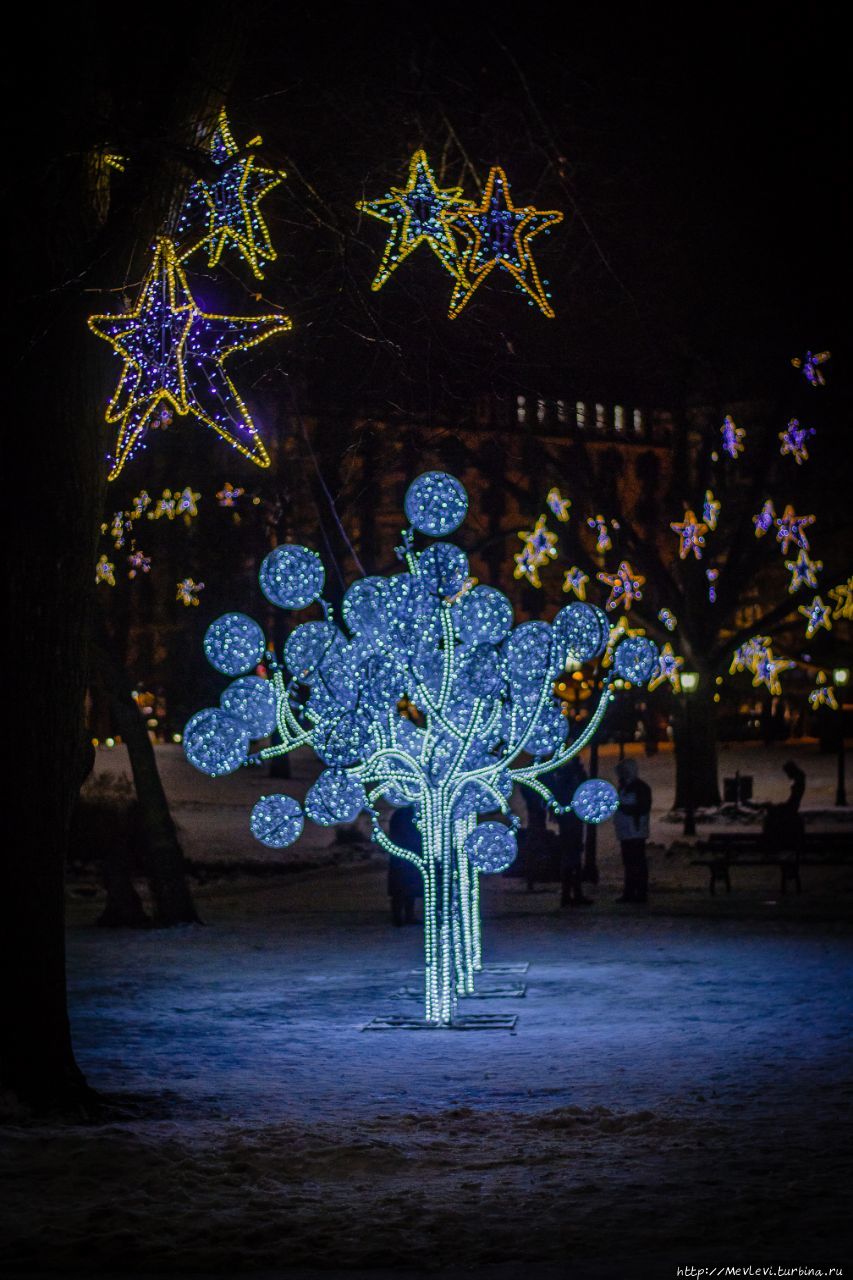 Путь рождественских елок. Ziemassvētku egļu ceļš Рига, Латвия