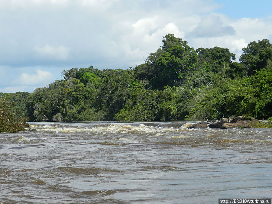 Dark Markets Guyana