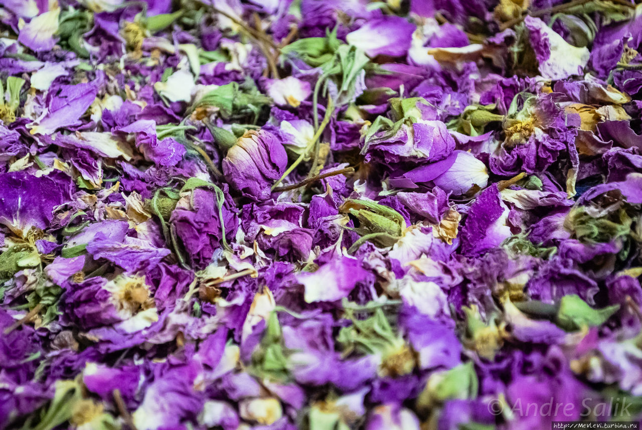 Мечеть и комплекс Вакиль (Masdjed-e Wakil). Шираз, Иран